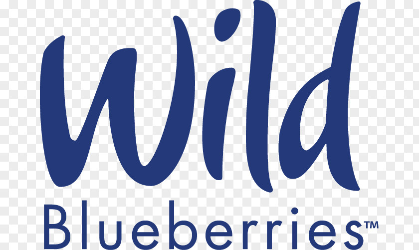 Blueberry Wild Festival Pie Food PNG