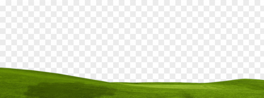Computer Lawn Desktop Wallpaper Grassland Grasses PNG