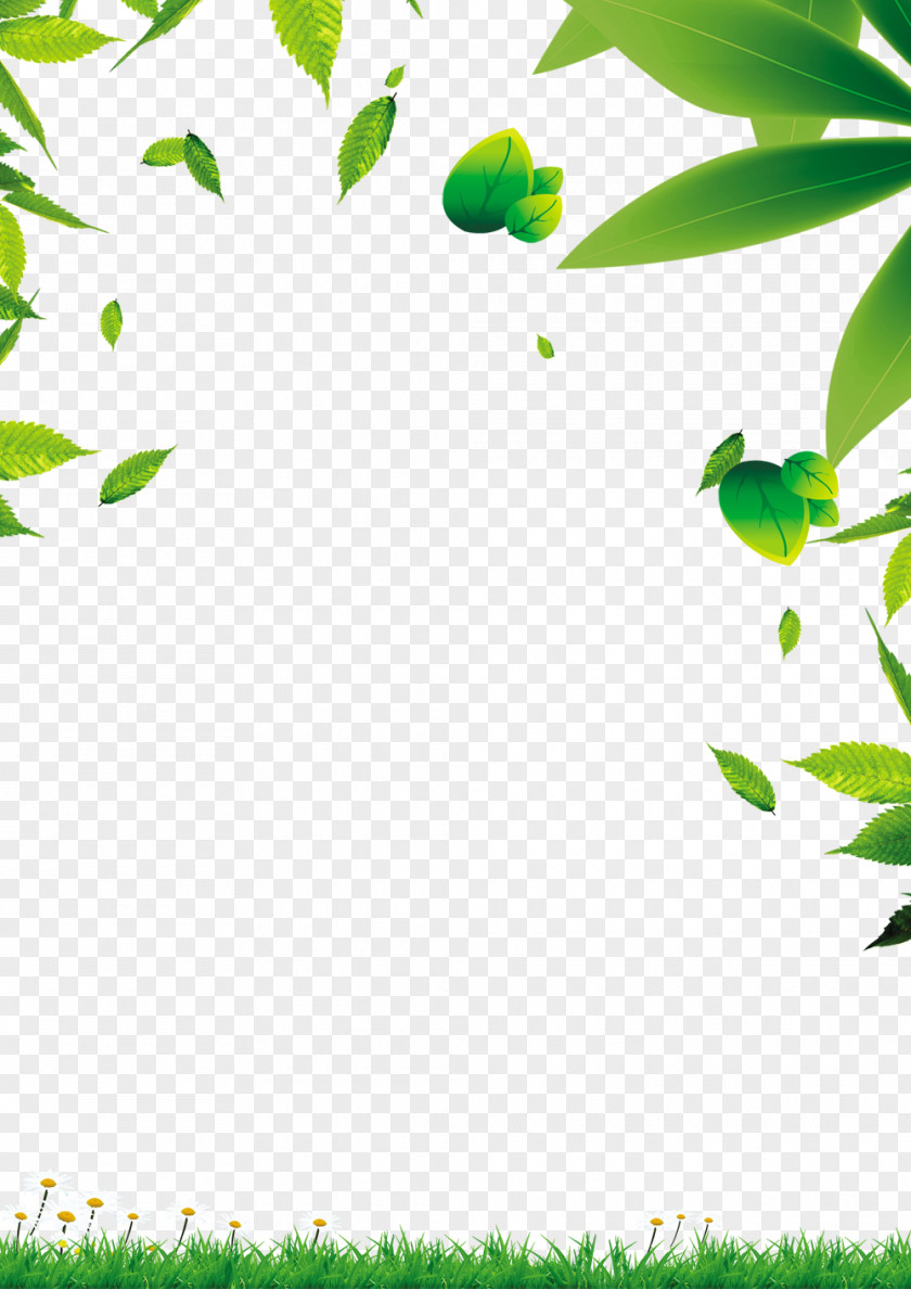 Green Leaves Leaf PNG