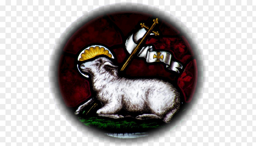 Lamb Of God Sheep Book Revelation Christian Symbolism PNG