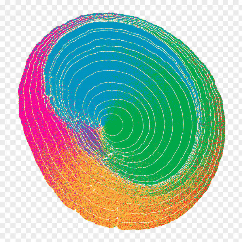 Plate Magenta Circle Colorfulness PNG