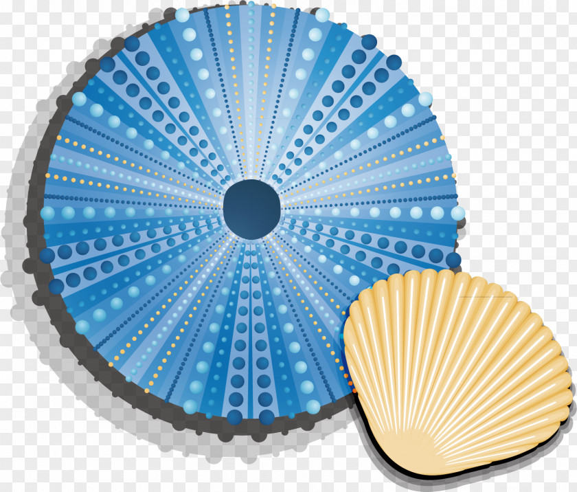 Shell Material Picture Seashell Euclidean Vector PNG