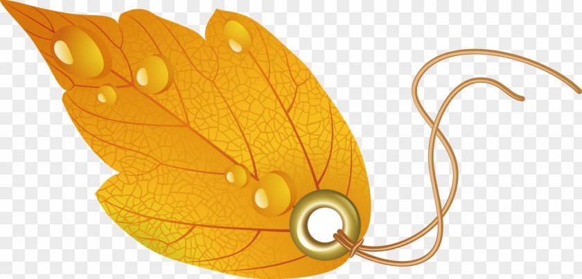 Autumn Leaf Figure PNG