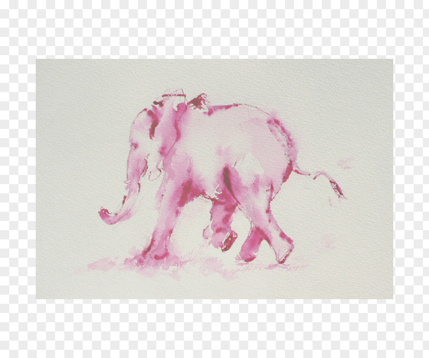 India Indian Elephant African Watercolor Painting Drawing Pink M PNG
