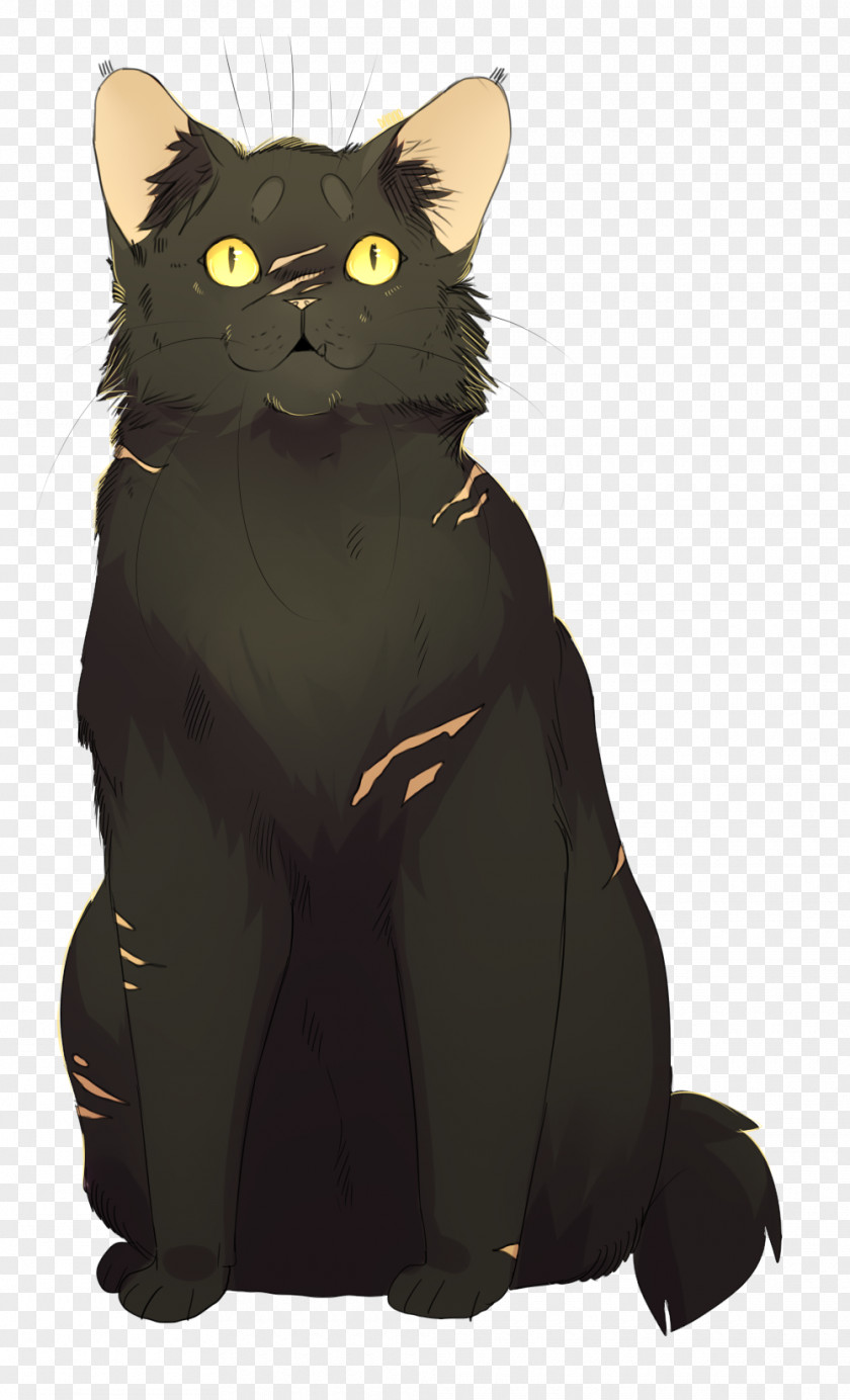 Kitten Black Cat Warriors Whiskers PNG