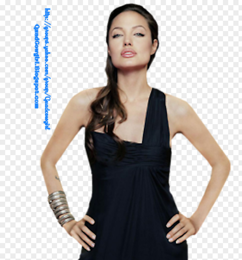 Angelina Jolie Lara Croft: Tomb Raider Female Actor PNG
