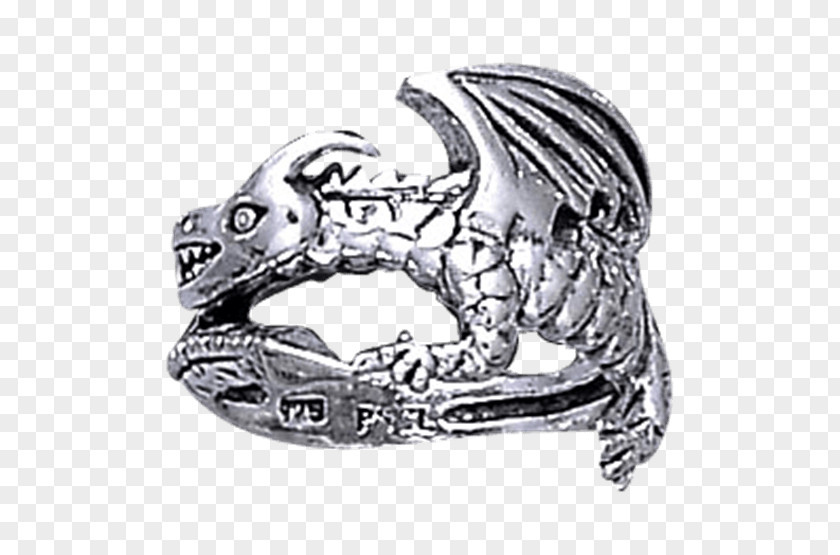Dragon Ring Jewellery Fantasy Bronze PNG