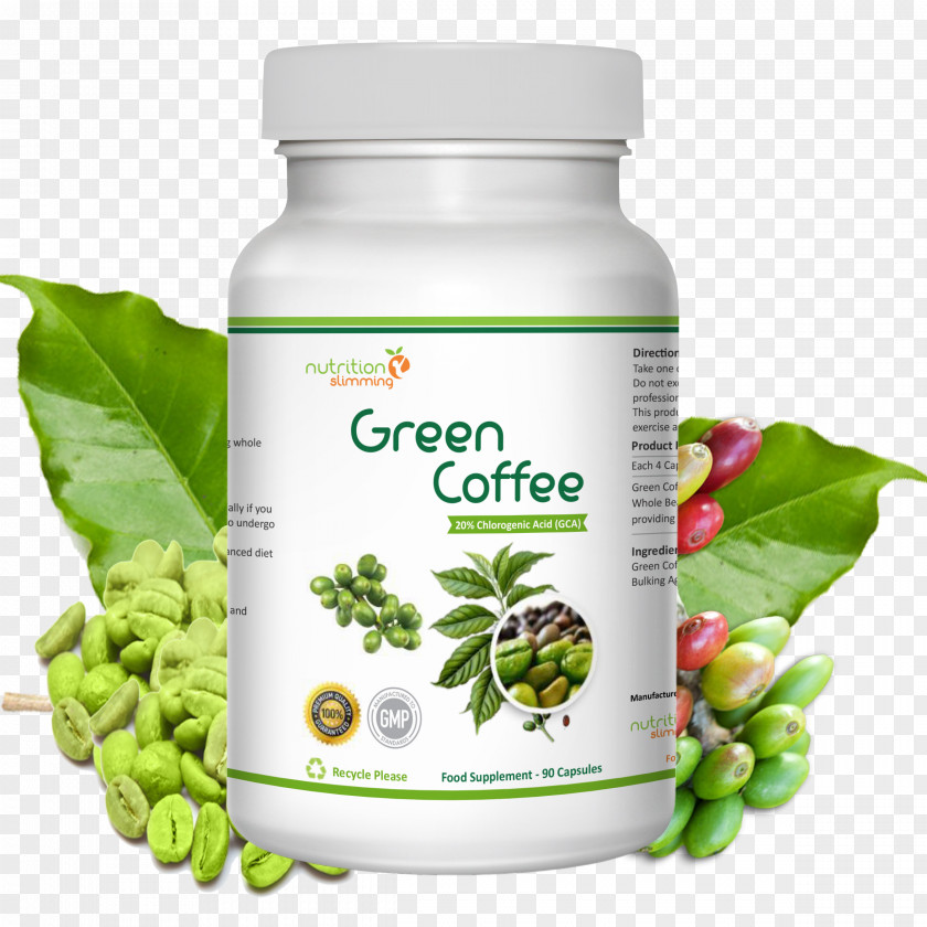 Luwak Green Coffee Extract Dietary Supplement Weight Loss Bean PNG