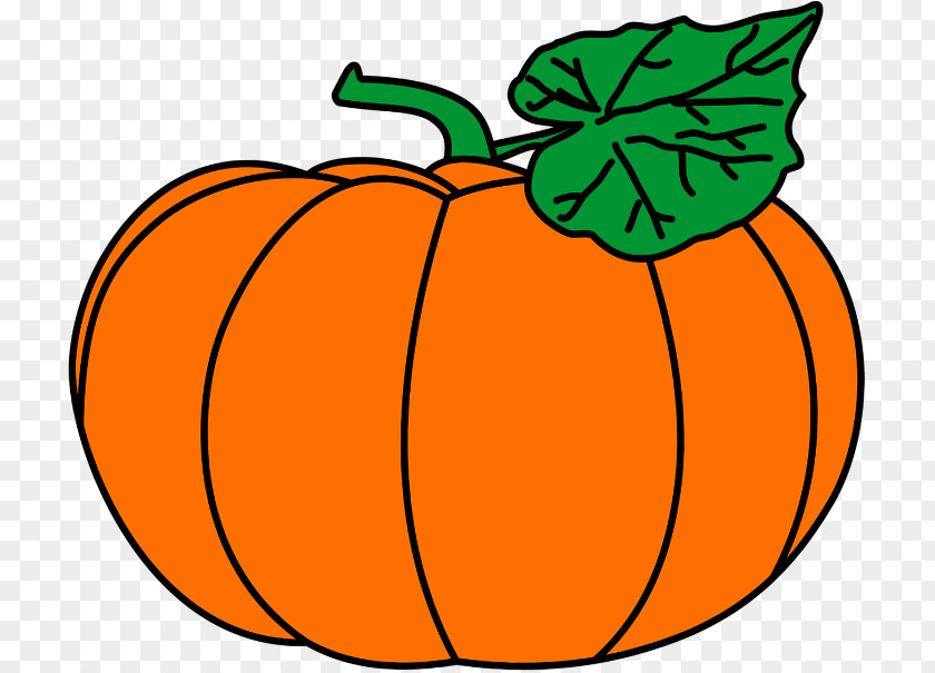 Pumpkin Template Jack-o'-lantern Gourd Calabaza Winter Squash PNG
