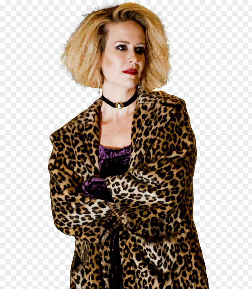 Sarah Paulson American Horror Story Hypodermic Sally Tate Langdon Violet Harmon PNG