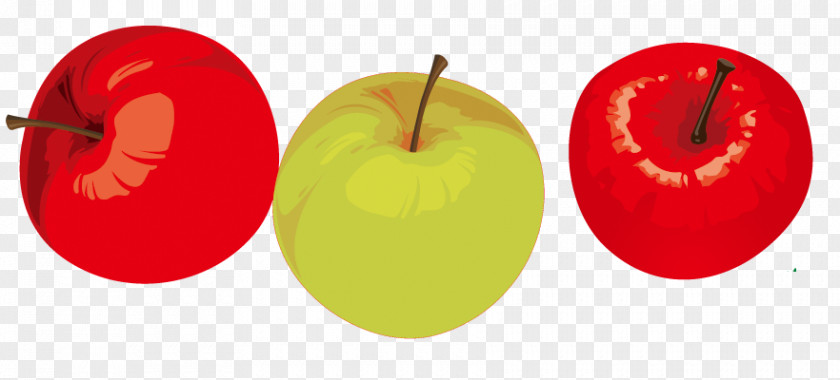 Cartoon Painted Apple Fruit Auglis Euclidean Vector Clip Art PNG