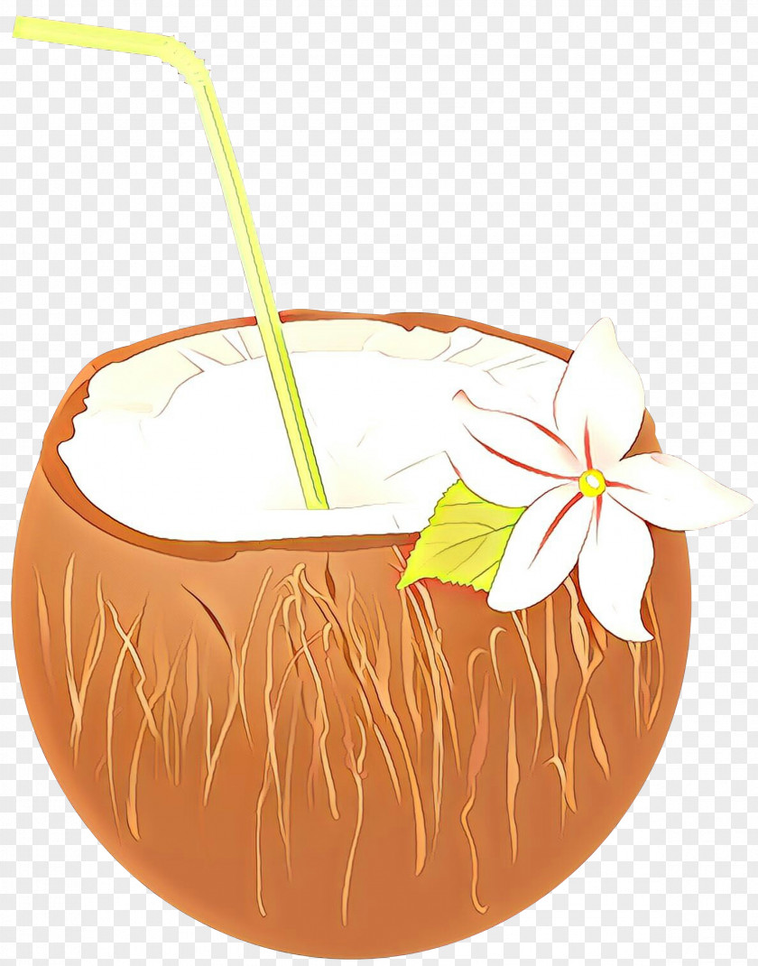 Coconut Food Watercolor Floral Background PNG