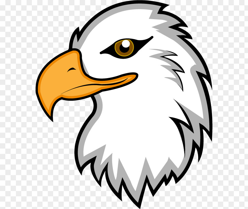 Eagle Mascot Clipart Bald Clip Art PNG