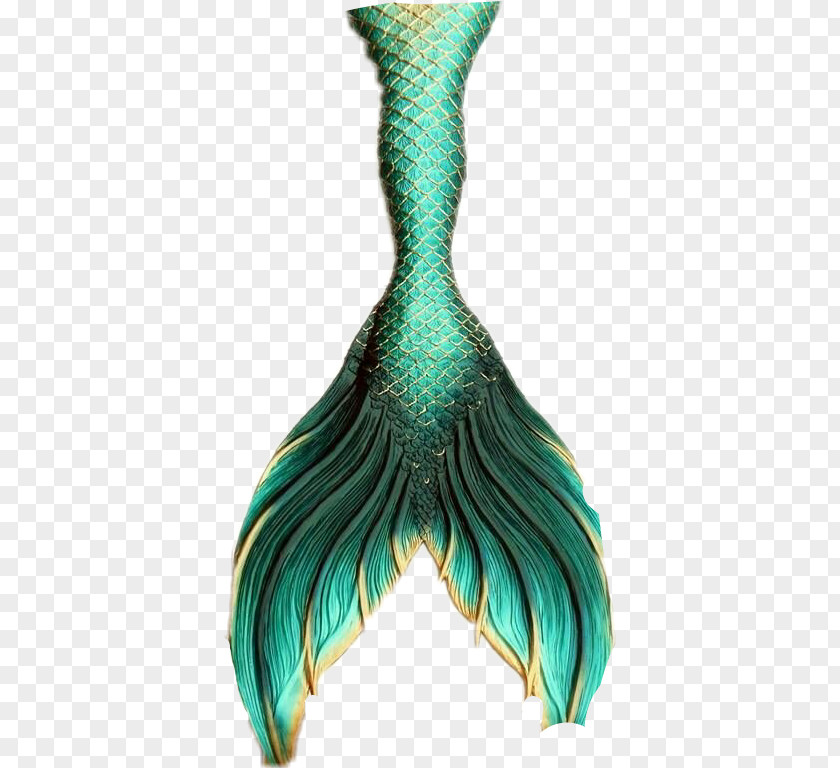 Mermaid Finfolk Tail Glog Fin Fun PNG