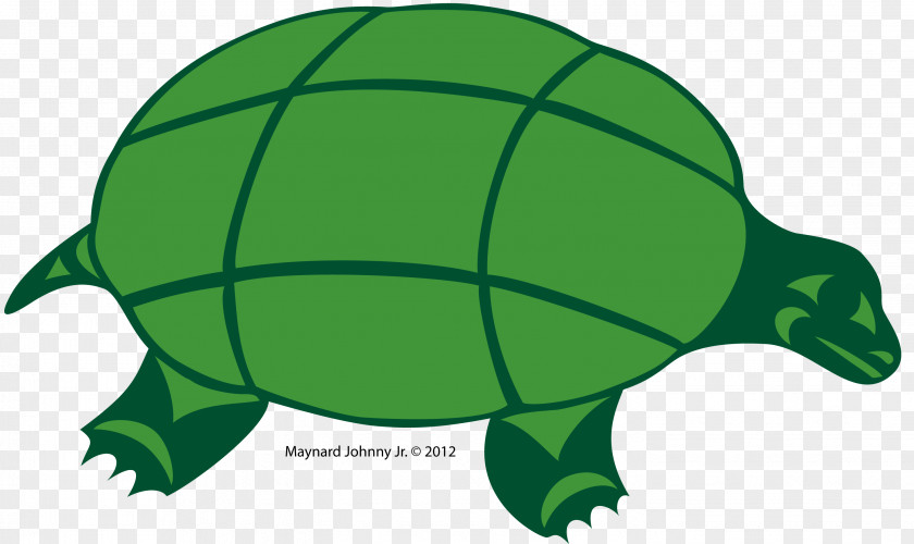 Turtle Tortoise Sea Gray Wolf Green PNG
