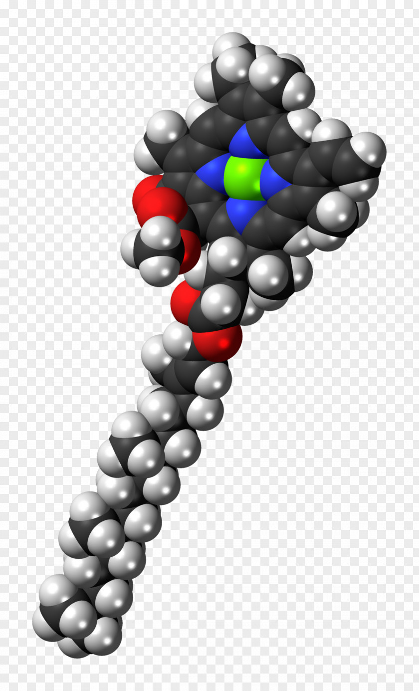 Color Pigments Light Chlorophyll A B Photosynthesis PNG