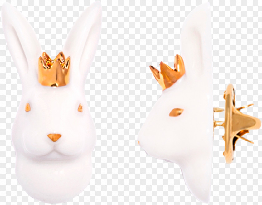 European Rabbit Domestic Hare Ear PNG