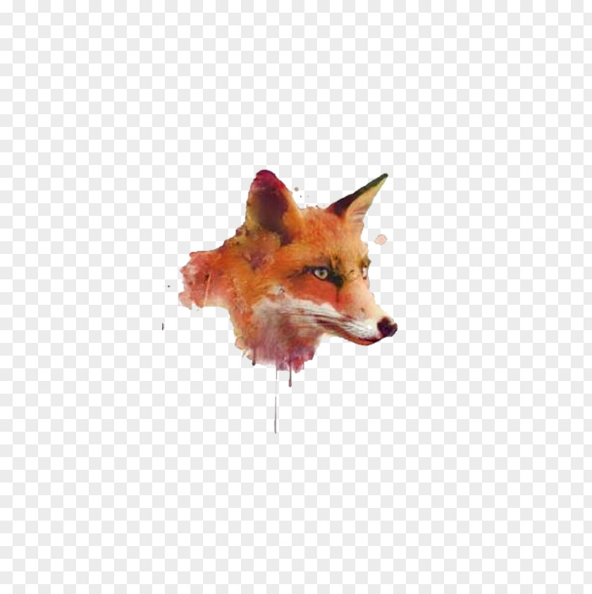Fox Head Watercolor Painting Software PNG