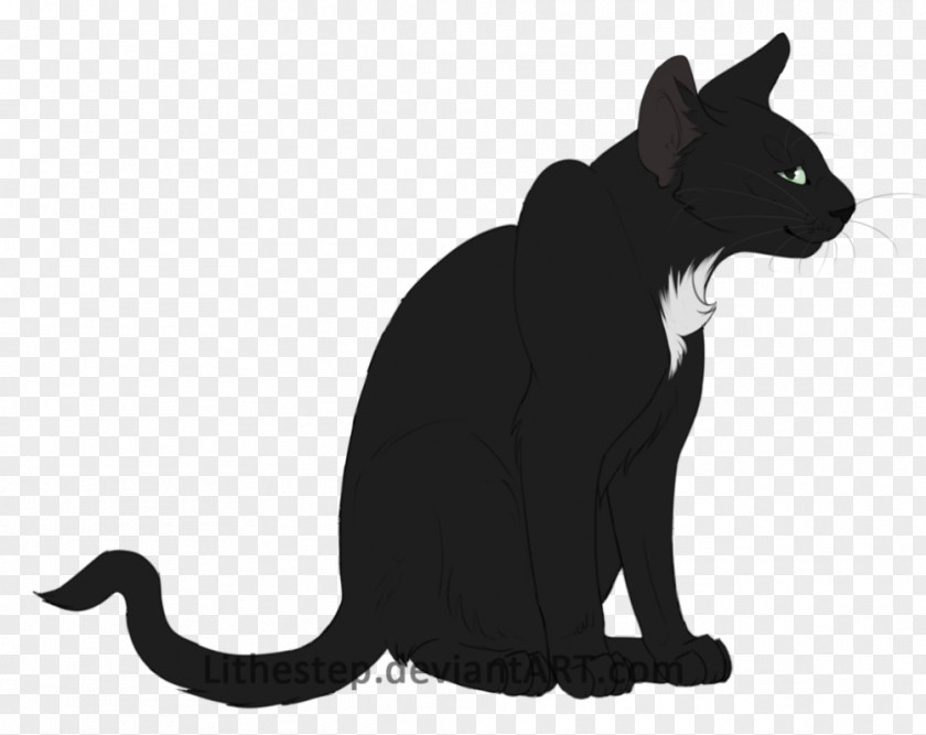 Kitten Black Cat Whiskers Domestic Short-haired PNG