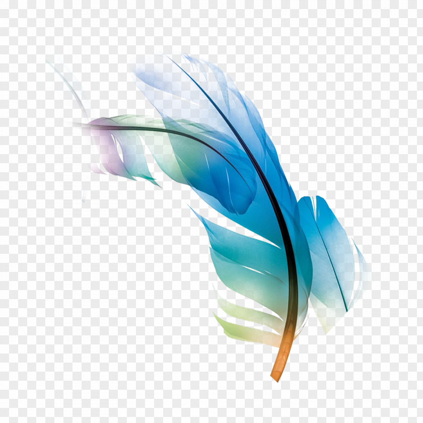 Powder Blue Feather PNG