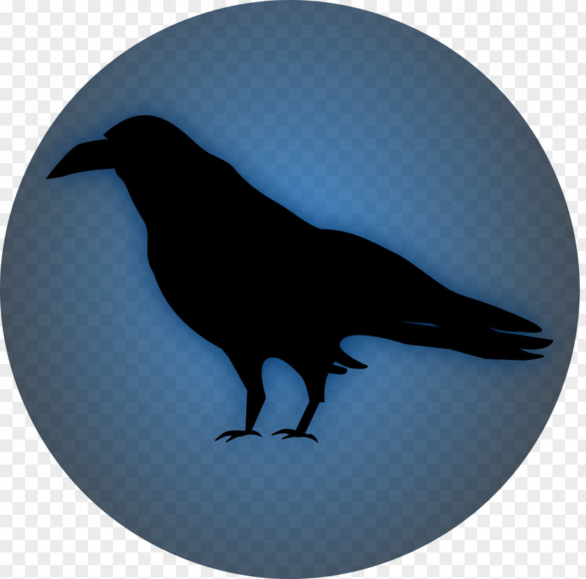 Raven Common Bird Clip Art PNG