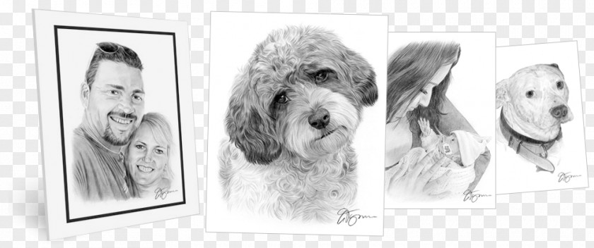 West Highland White Terrier Dog Breed Fur Snout Portrait Sketch PNG