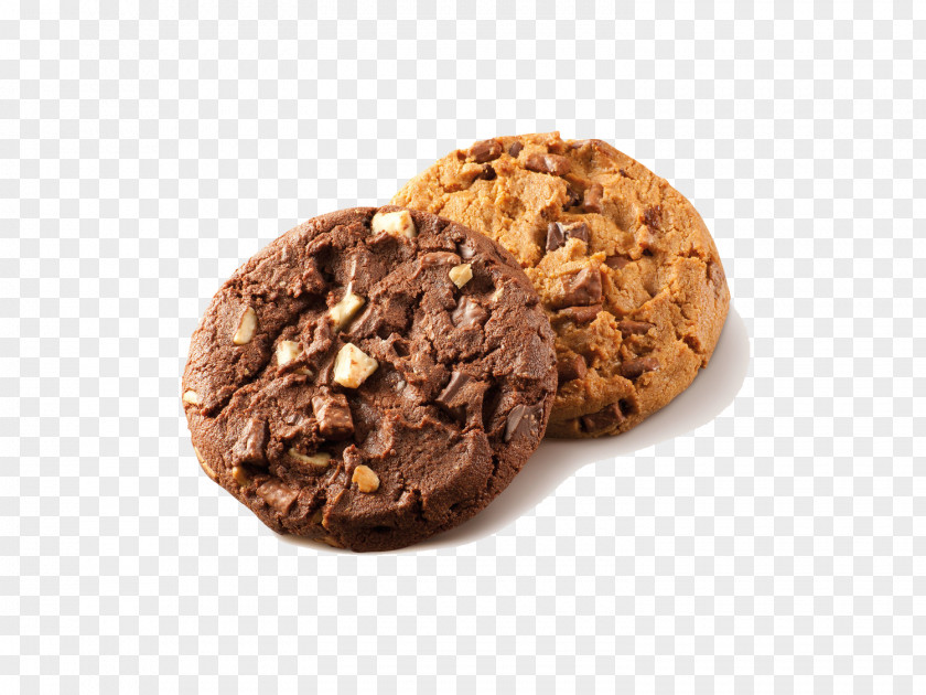 Biscuit Chocolate Chip Cookie Biscuits Pizzelle Ginger Snap PNG