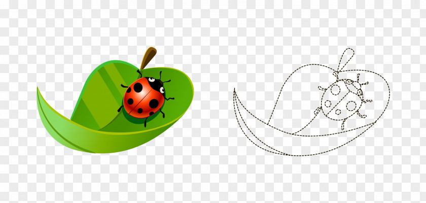 Cartoon Painted Leaves Ladybird Artwork Coccinella Septempunctata PNG