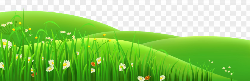 Transparent Flowers And Grass Clipart Meadow Euclidean Vector Clip Art PNG