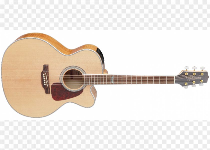 Acoustic Twelve-string Guitar Takamine Guitars Acoustic-electric Cutaway Musical Instruments PNG