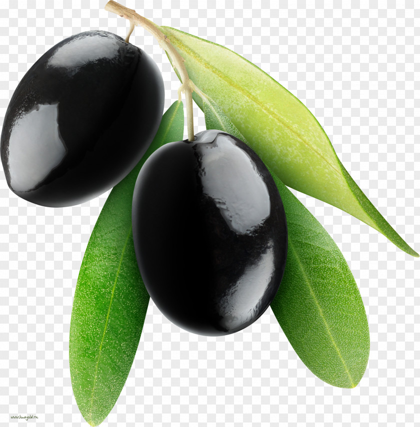 Black Olives Fruit Olive PNG