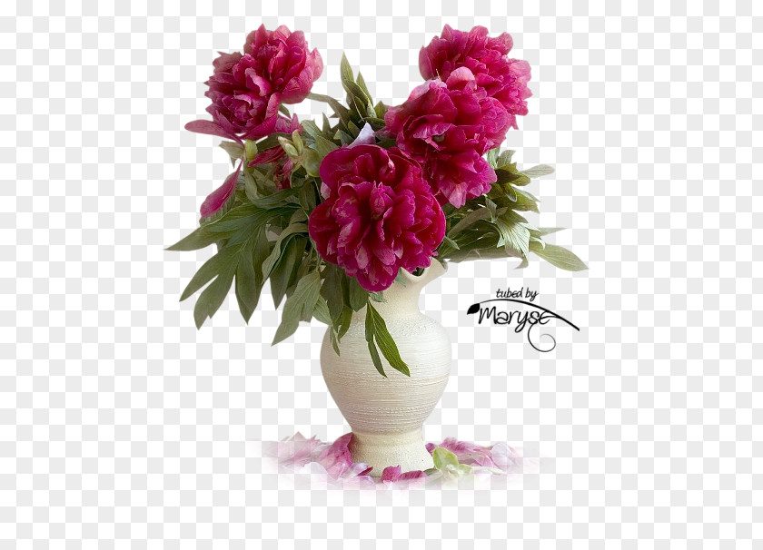 Flower Floral Design Bouquet Transvaal Daisy Chrysanthemum PNG
