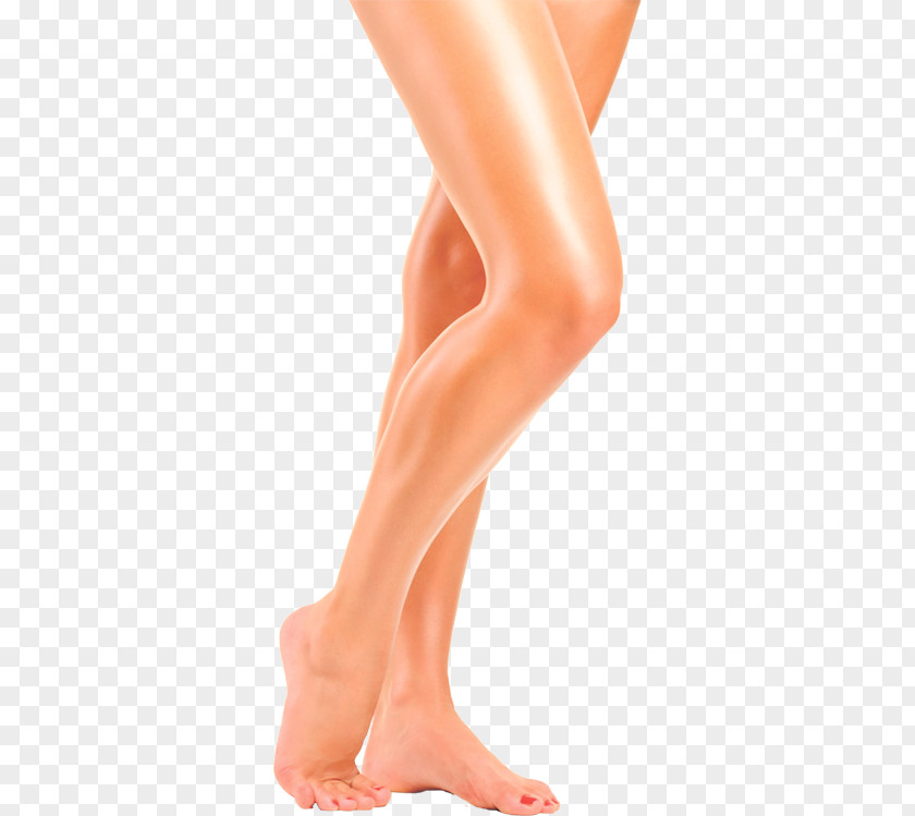 Human Leg PNG leg , others clipart PNG