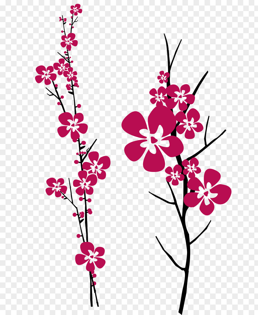 Plum Pictures Sleeve Tattoo Drawing Cherry Blossom Sketch PNG