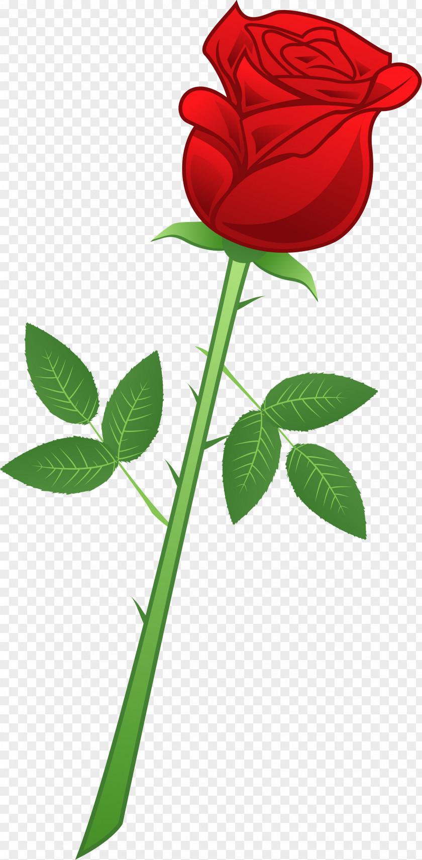 Rose Vector Beach Paper Plant Painting PNG