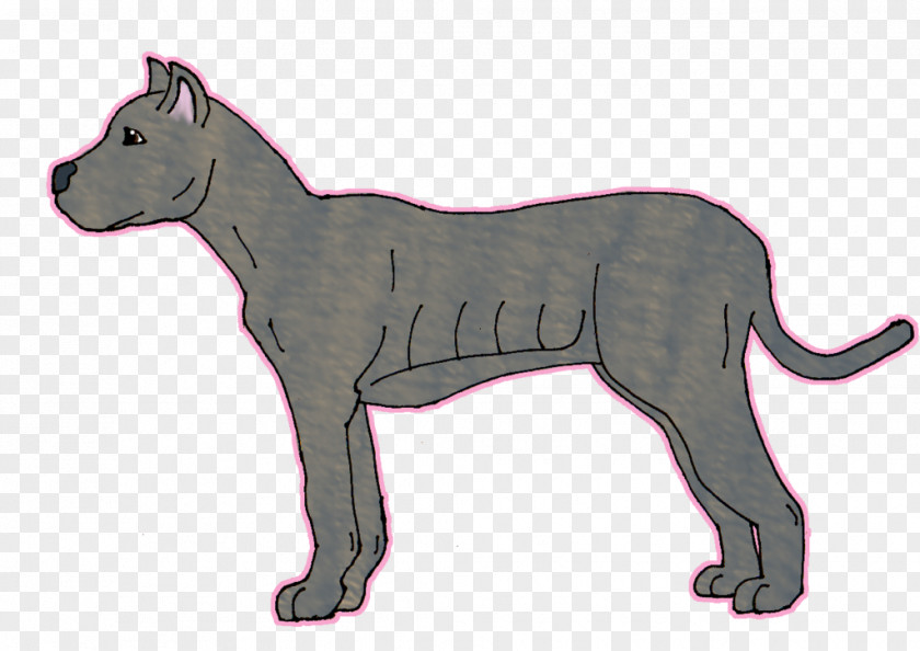 Cat Cane Corso Dog Breed English Mastiff Whiskers PNG