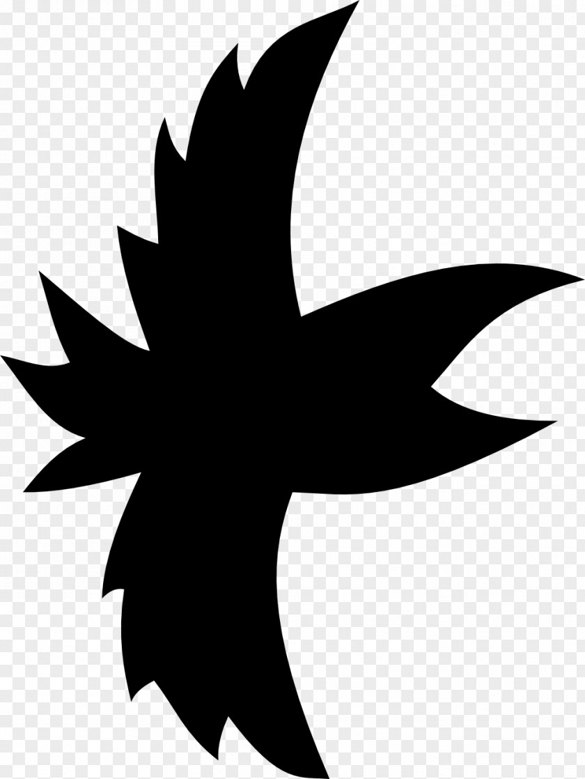 Crowed Bird Carrion Crow Clip Art PNG