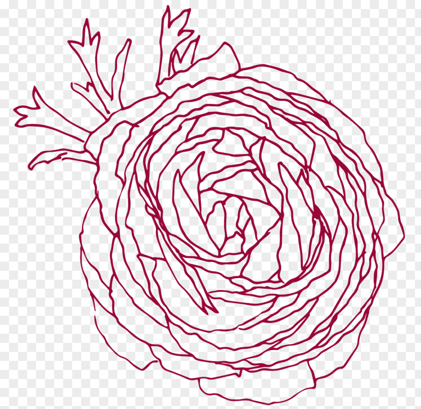 Leaf Petal Drawing Line Art Clip PNG