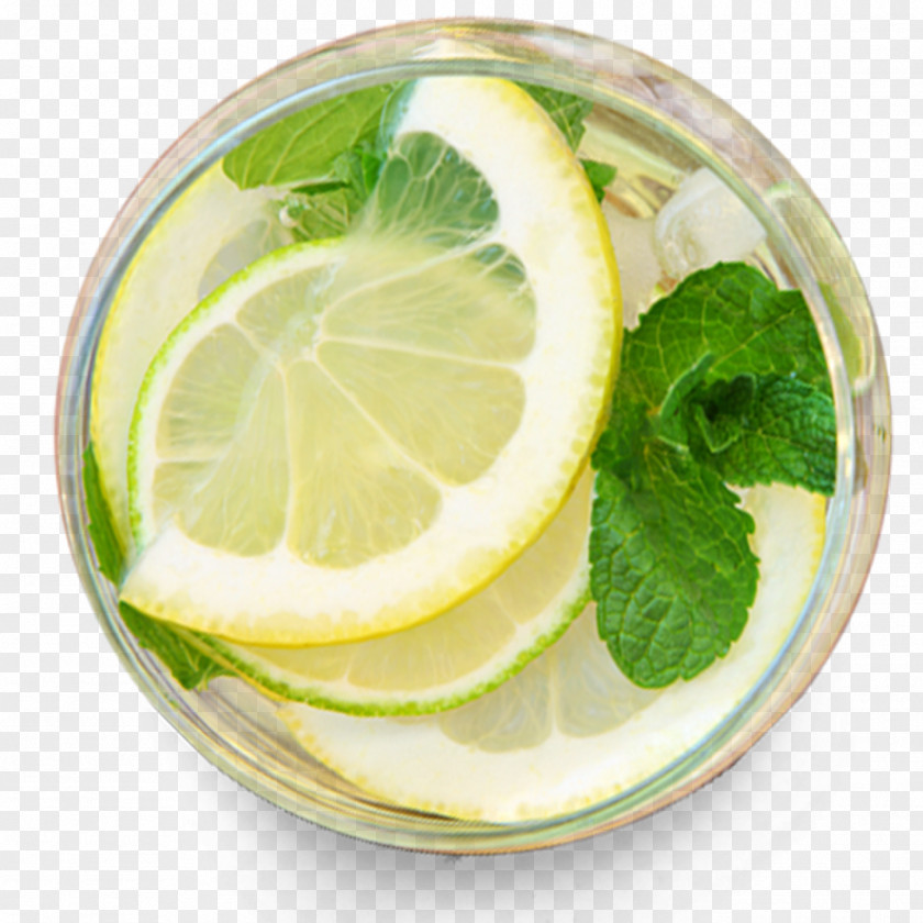 Lemon Mint Juice Maghrebi Tea Drink PNG