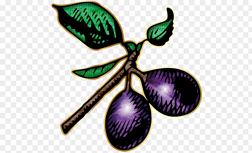 Plum Fruit Cartoon Clip Art PNG