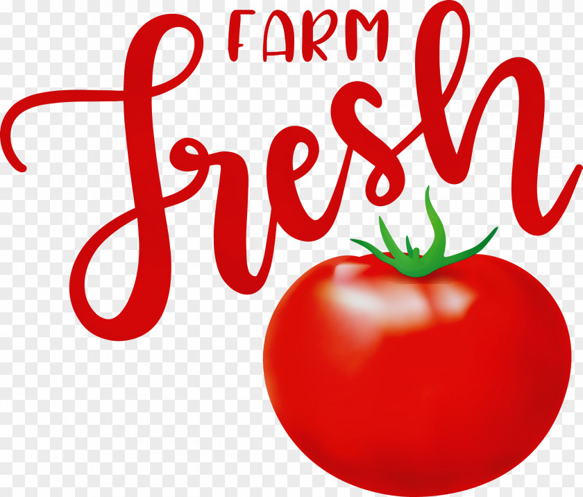 Tomato PNG