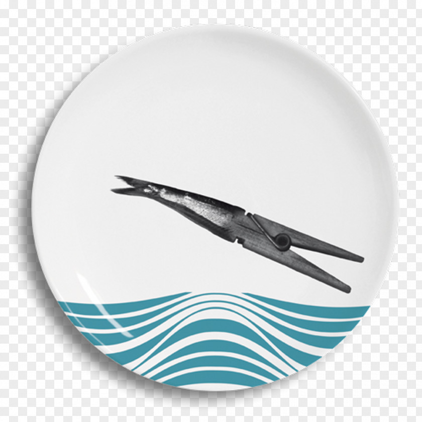 Plate Anchovy Pacific Saury Food Tableware PNG
