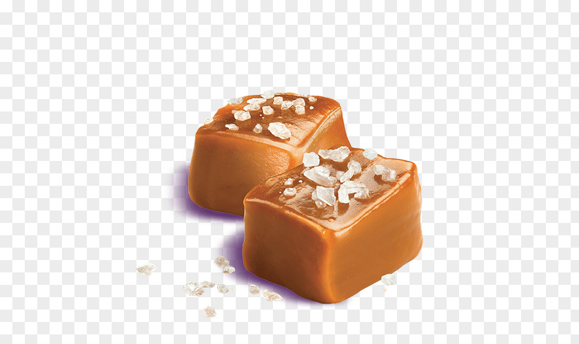 Salted Dulce De Leche Fudge Caramel Apple Cajeta PNG