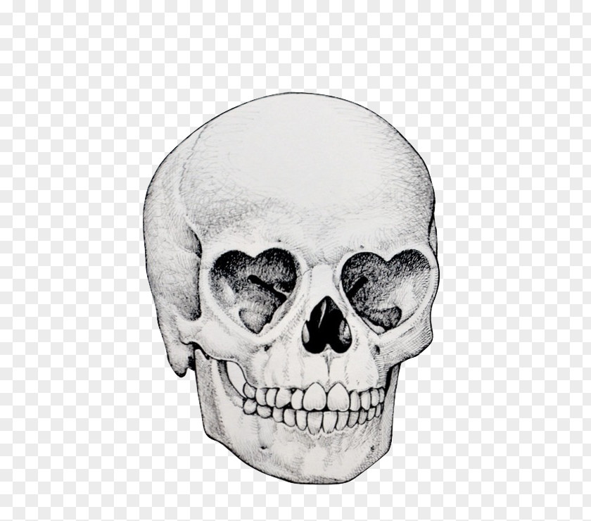 Skull Drawing Illustration Image Eye PNG
