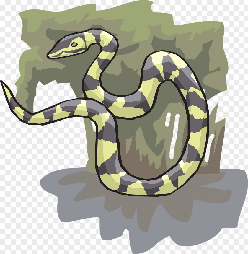 Snake Reptile Tree Ahaetulla Clip Art PNG
