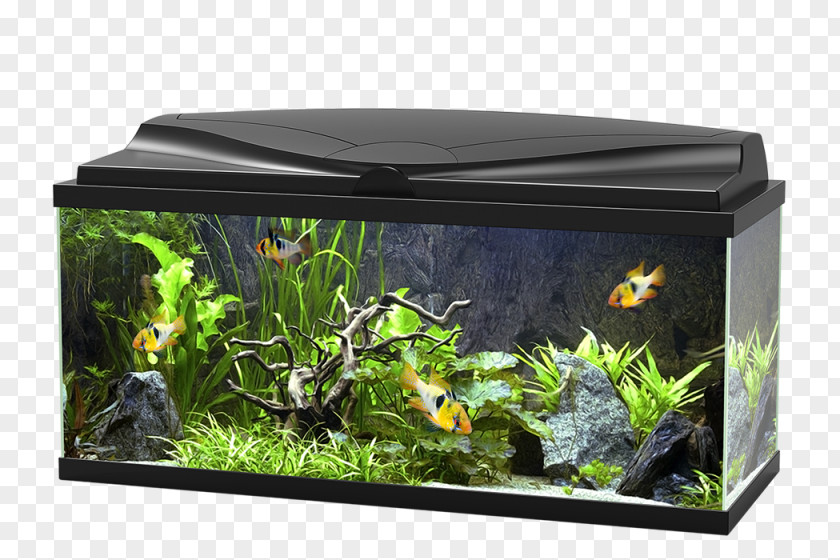 Aquarium Light-emitting Diode LED Lamp PNG