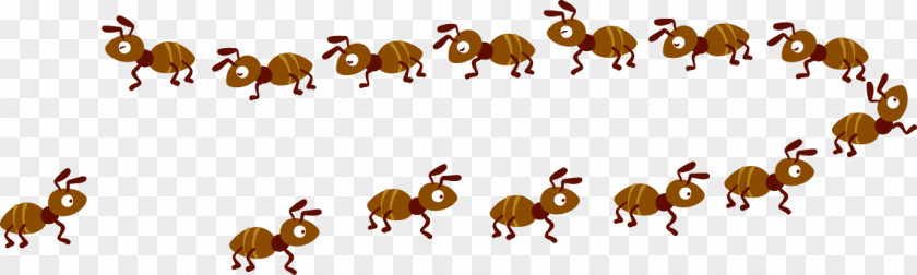 Cute Cartoon Ant PNG