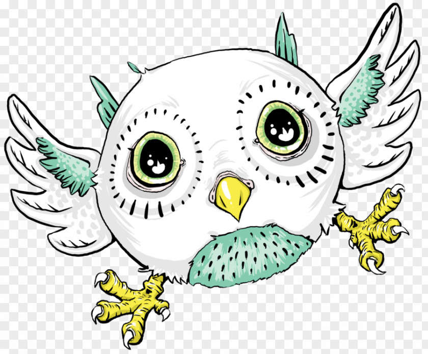 Owl Beak Bird Clip Art PNG