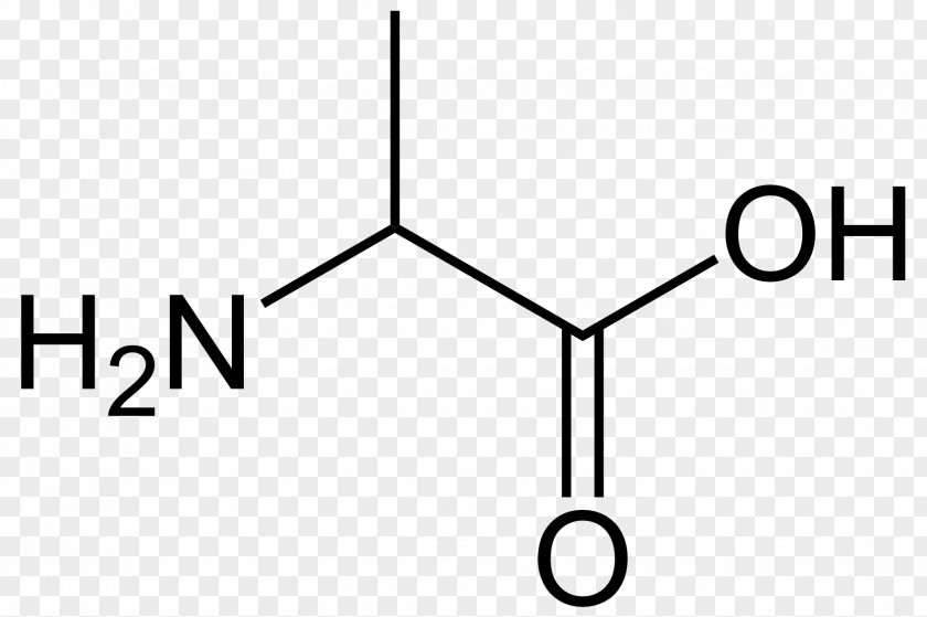 Amino Proteinogenic Acid Proline Branched-chain Essential PNG