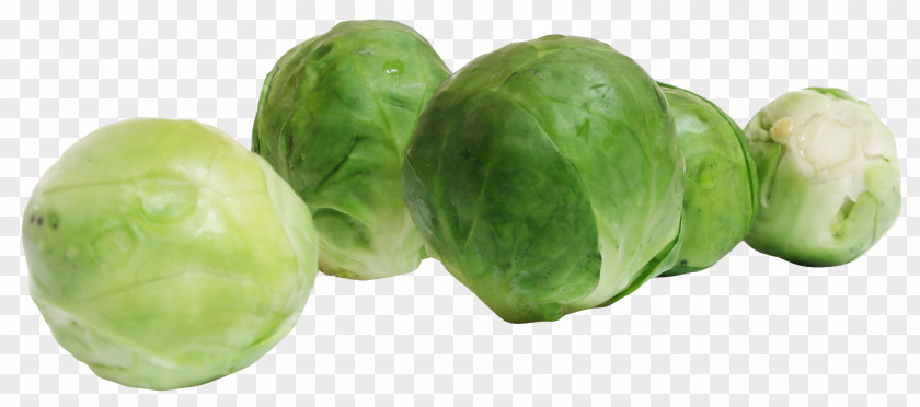 Brussels Sprouts Sprout Cabbage Vegetable Sprouting PNG